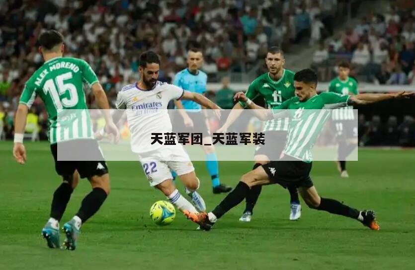 天蓝军团_天蓝军装