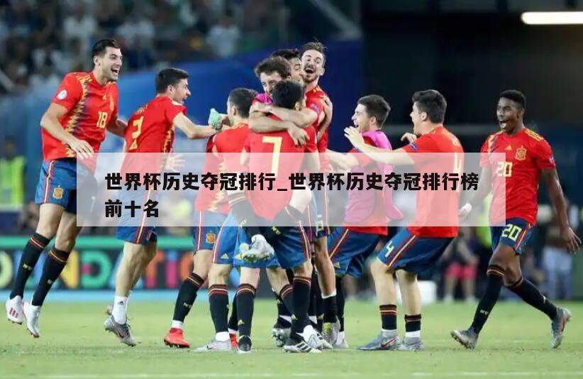 世界杯历史夺冠排行_世界杯历史夺冠排行榜前十名