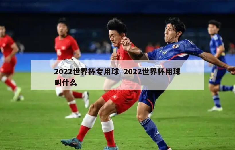 2022世界杯专用球_2022世界杯用球叫什么