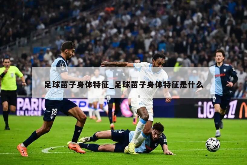 足球苗子身体特征_足球苗子身体特征是什么
