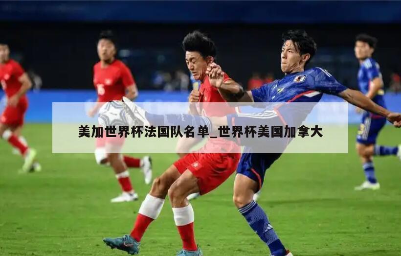 美加世界杯法国队名单_世界杯美国加拿大