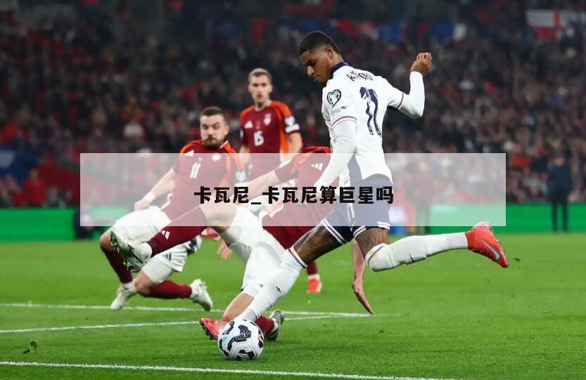 卡瓦尼_卡瓦尼算巨星吗