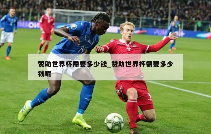 赞助世界杯需要多少钱_赞助世界杯需要多少钱呢