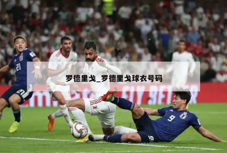 罗德里戈_罗德里戈球衣号码