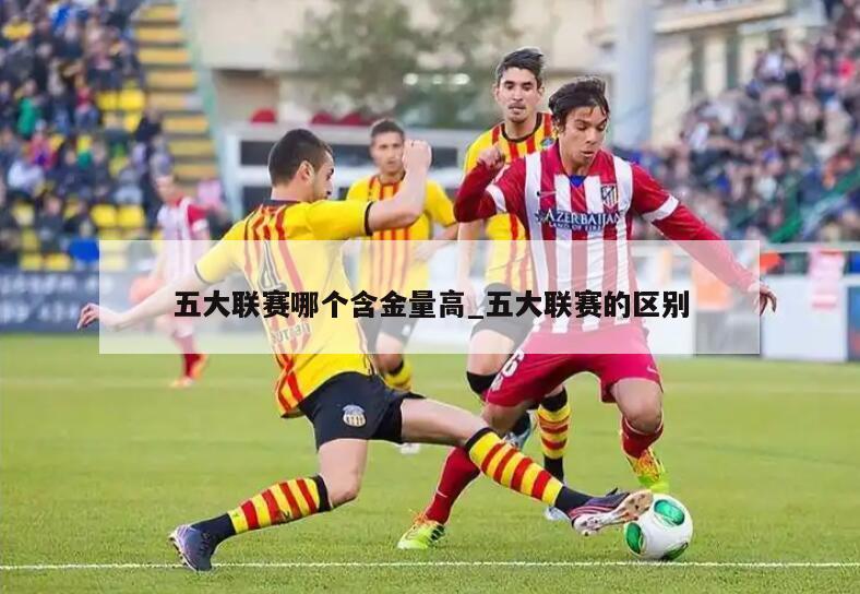 五大联赛哪个含金量高_五大联赛的区别