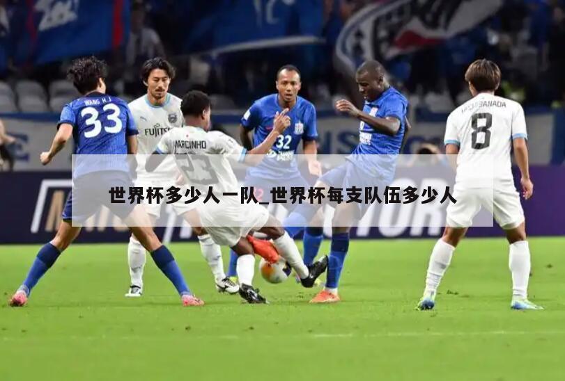 世界杯多少人一队_世界杯每支队伍多少人