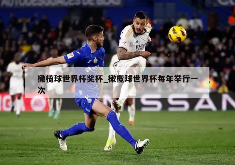 橄榄球世界杯奖杯_橄榄球世界杯每年举行一次