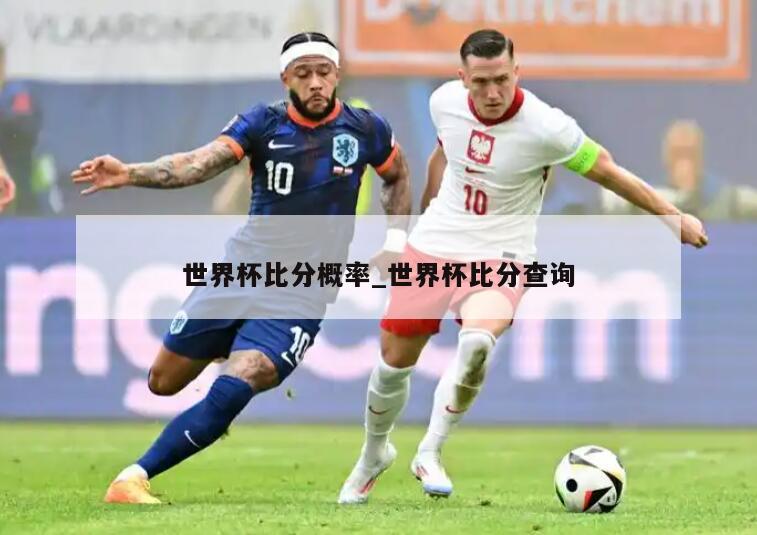 世界杯比分概率_世界杯比分查询