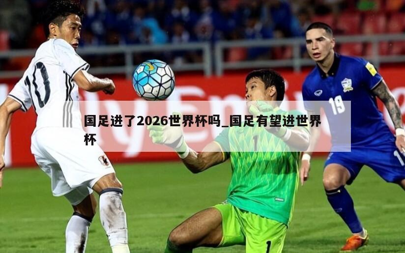 国足进了2026世界杯吗_国足有望进世界杯