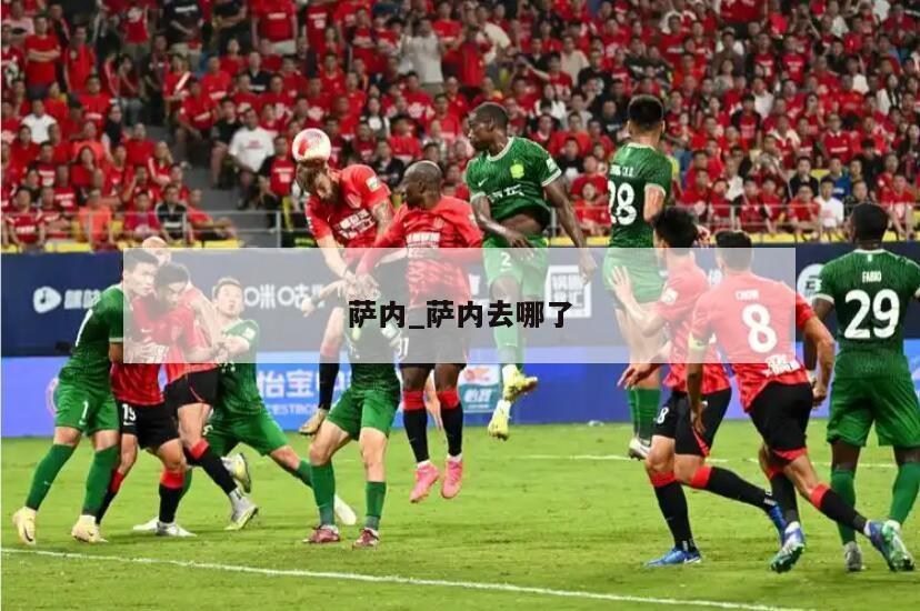 萨内_萨内去哪了