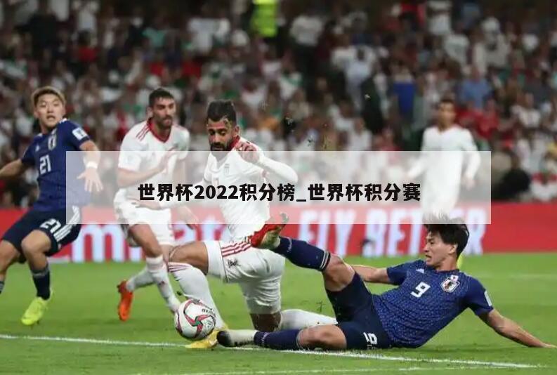 世界杯2022积分榜_世界杯积分赛