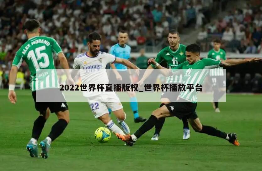 2022世界杯直播版权_世界杯播放平台